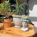 Apartman Jupp *